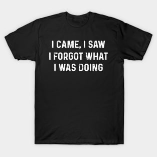 Funny I Came, I Saw I Forgot What I Was Doing Amnesia T-Shirt